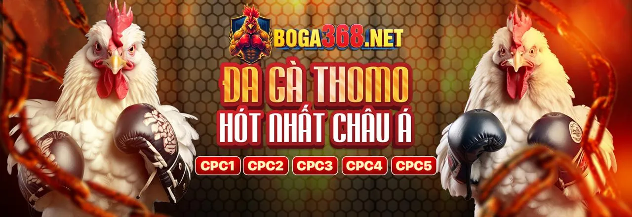 Hình ảnh chính về cá cược đá gà tại top88 đăng nhập